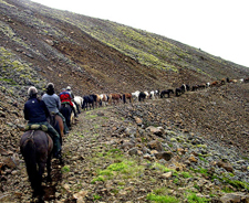Iceland-East and South-Egilsstadir Saga Tour